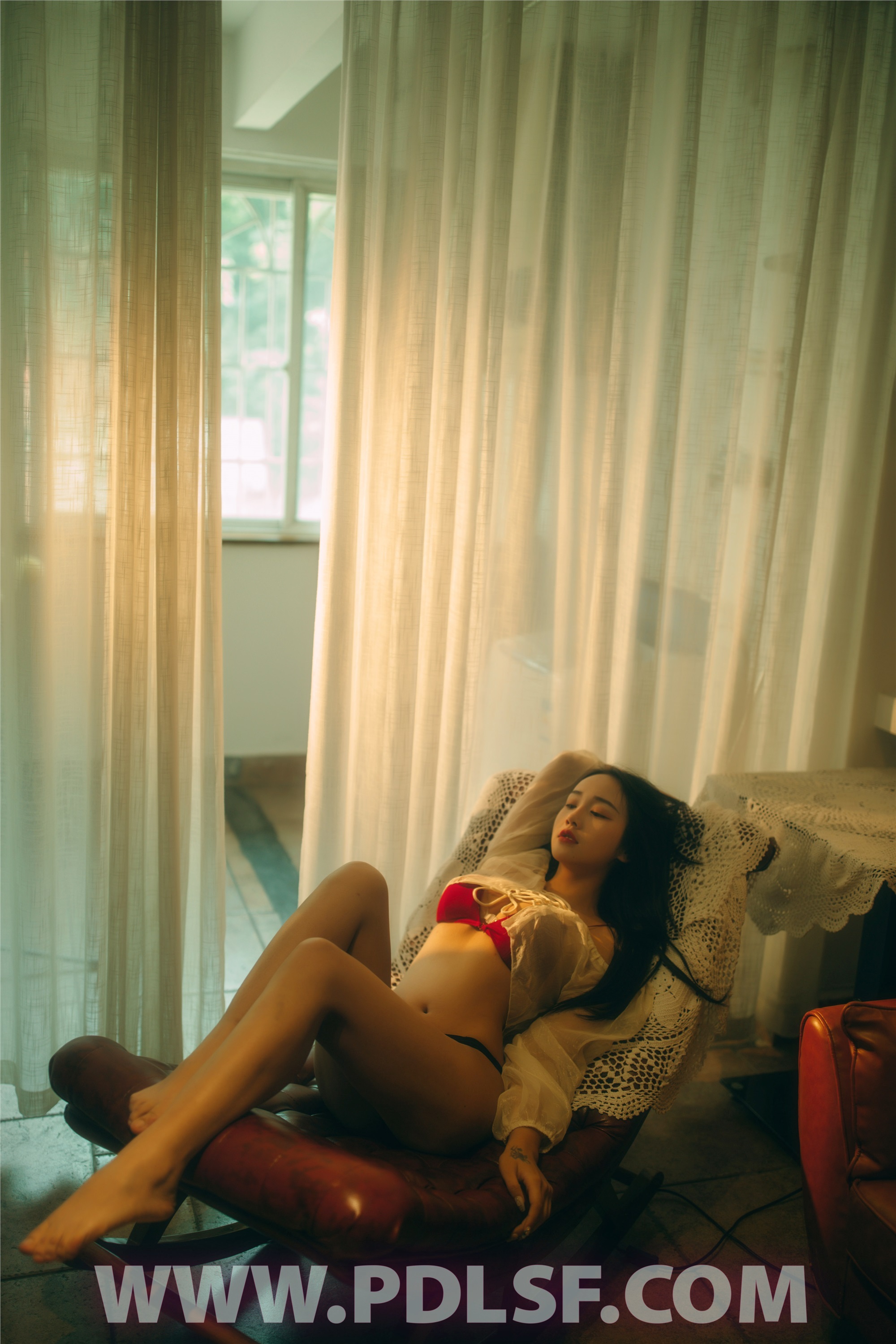 PDL潘多拉 2020.05.02 专辑No.289